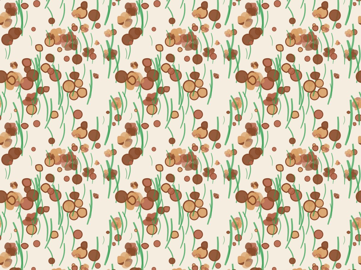 Wildflower mix, Flowers collection, seamless repeat pattern shown in Desert