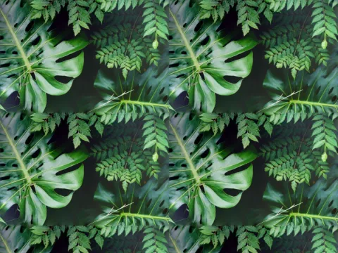 Fern and monstera pattern, Foliage collection