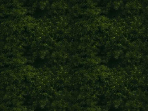 Foliage collection