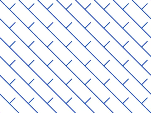 Branch lattice pattern, Nature's Geometry collection